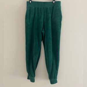 Green Wild Fable Velvet Joggers
